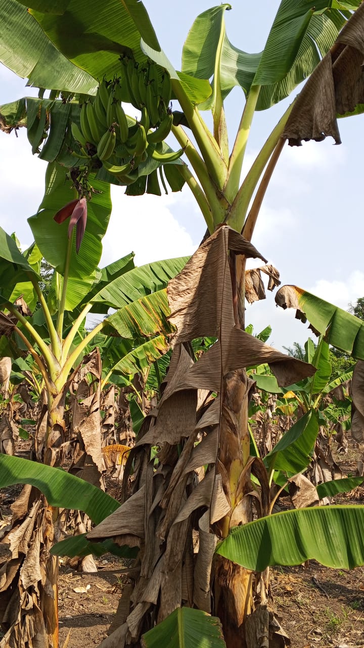 Farm image 20