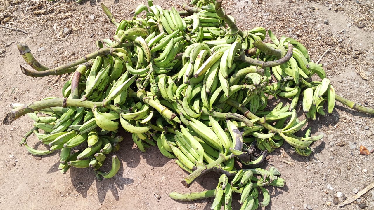 Farm image 40