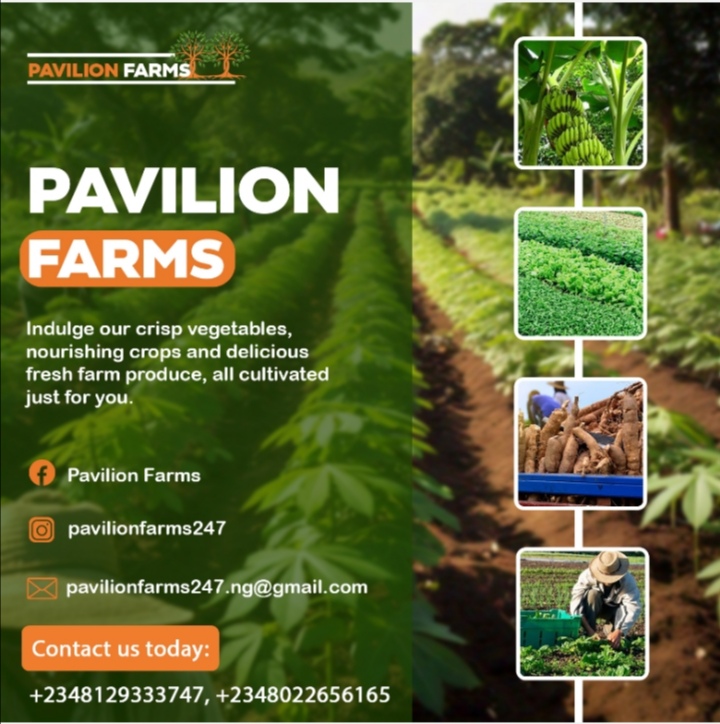 Farm image 46