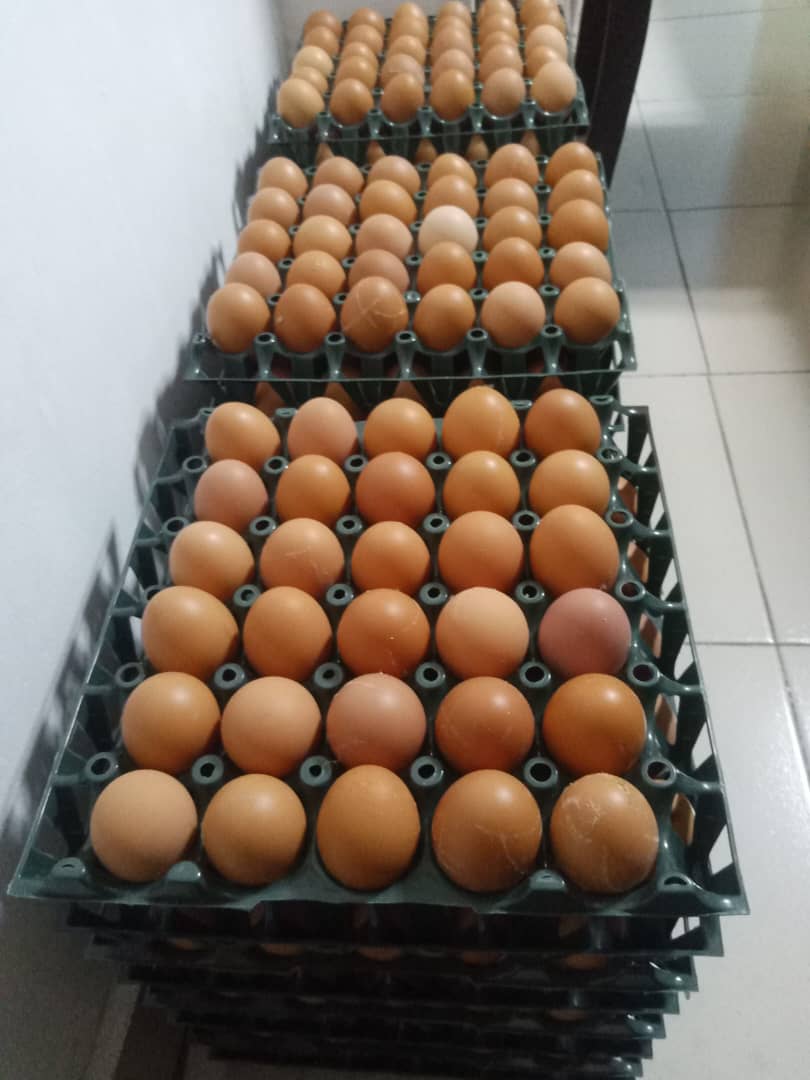 Farm image 47