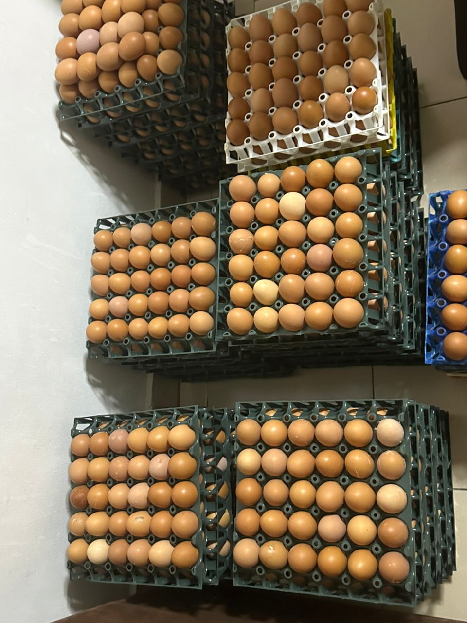 Farm image 75