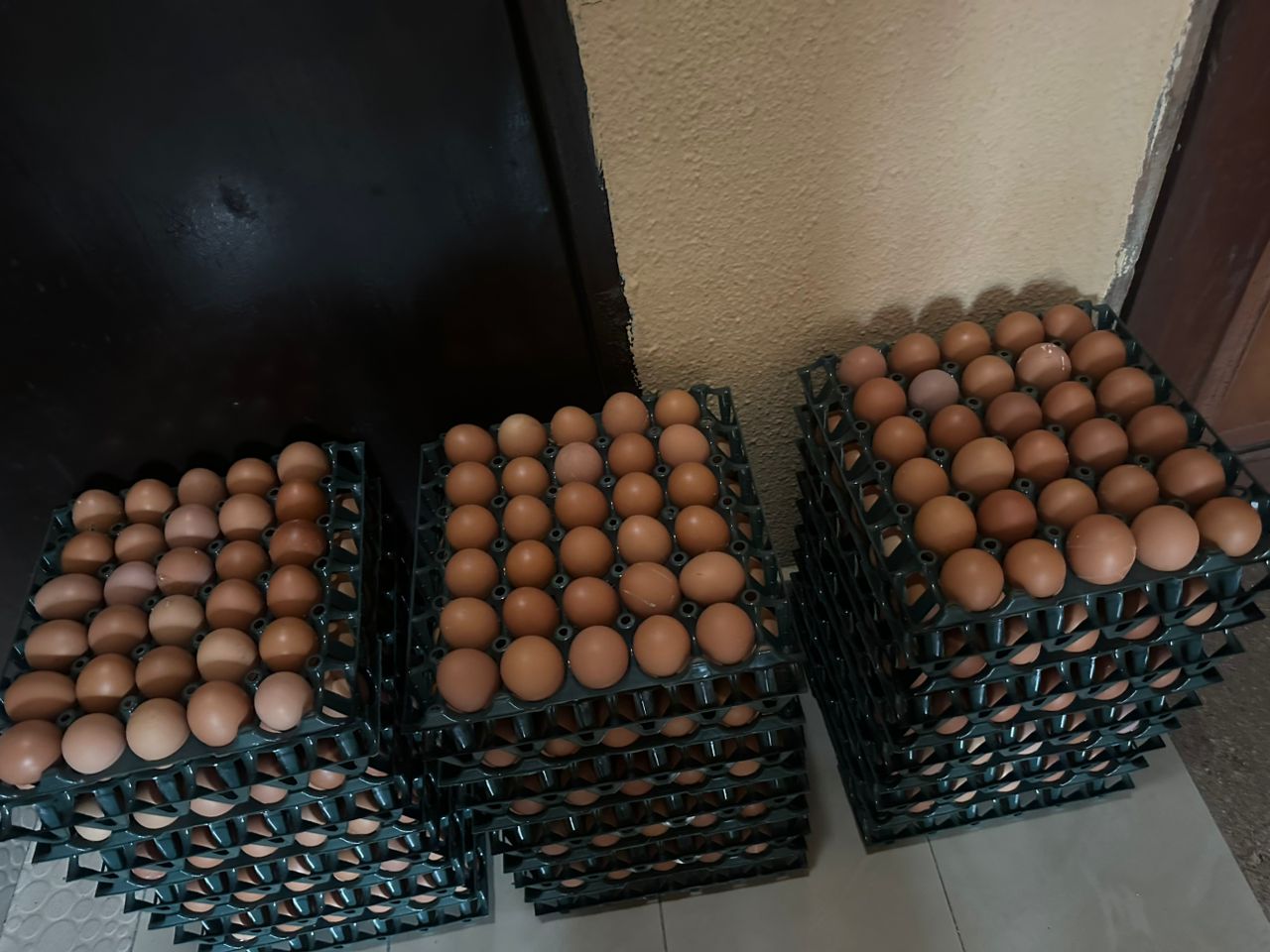 Farm image 85